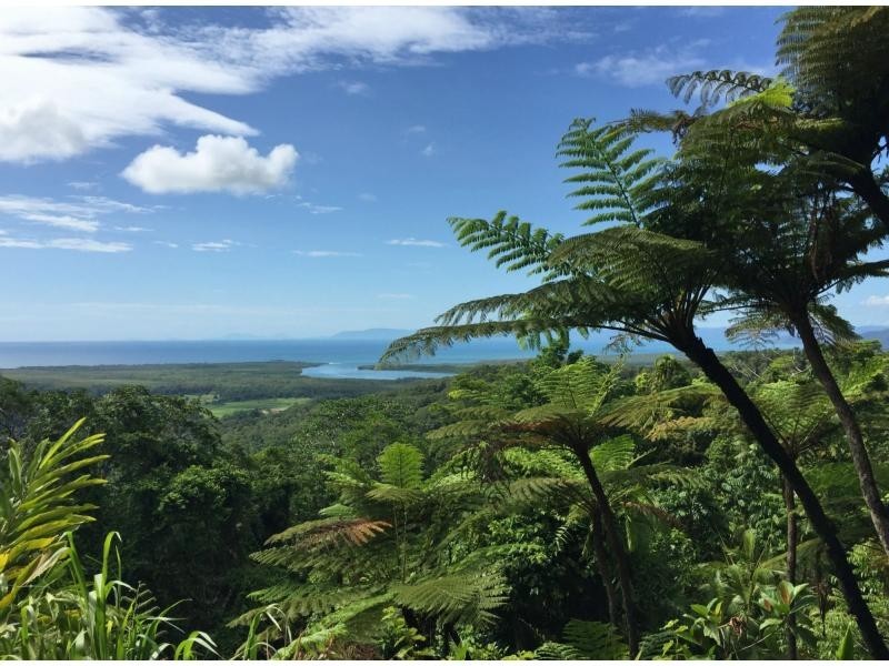 L63 George Road, Forest Creek QLD 4873