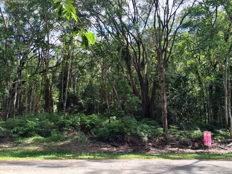 L63 George Road, Forest Creek QLD 4873