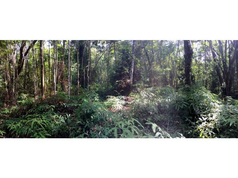 L63 George Road, Forest Creek QLD 4873