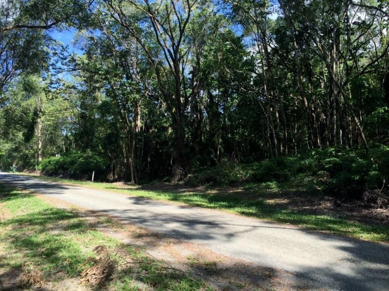 L63 George Road, Forest Creek QLD 4873