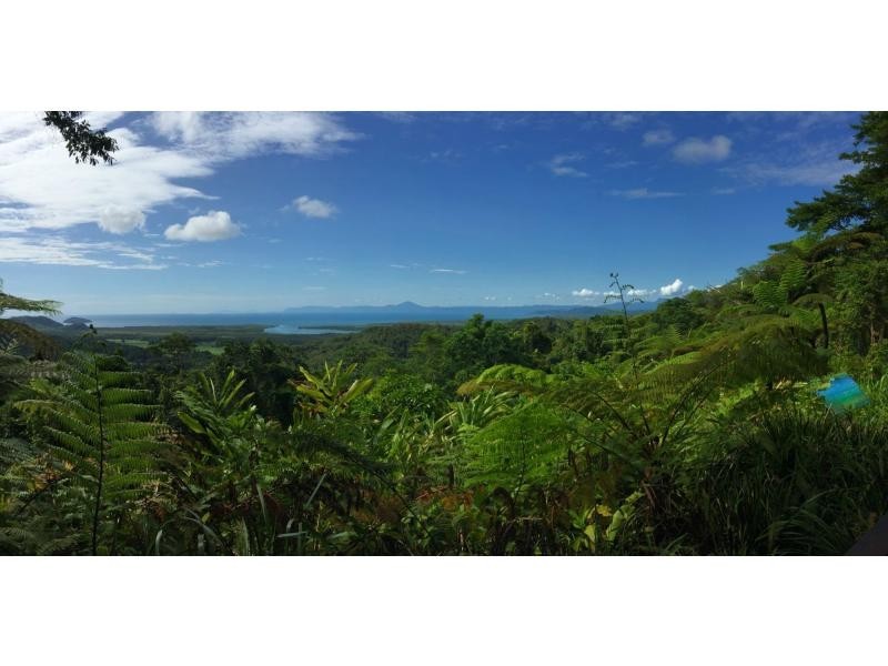 L63 George Road, Forest Creek QLD 4873