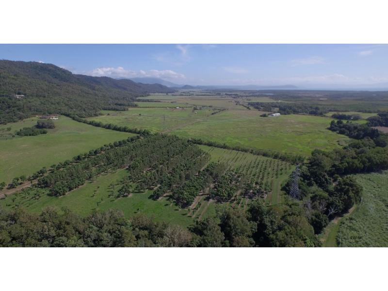 51 Crees Road, Port Douglas QLD 4877
