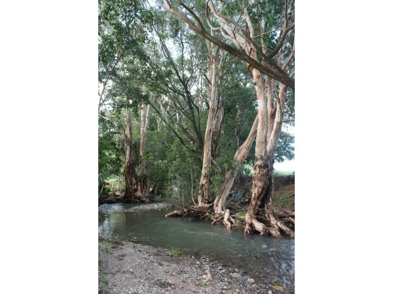 51 Crees Road, Port Douglas QLD 4877