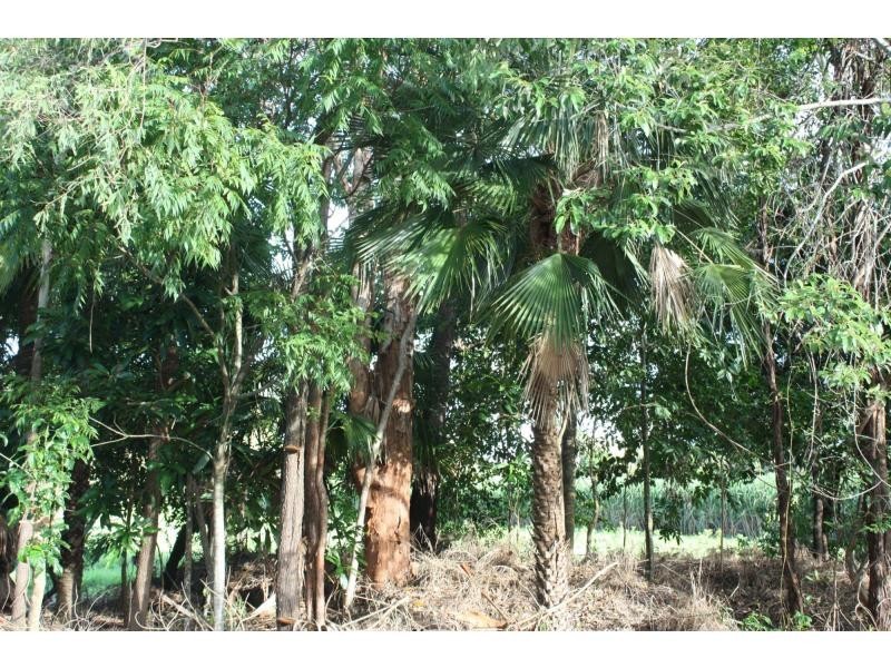 51 Crees Road, Port Douglas QLD 4877