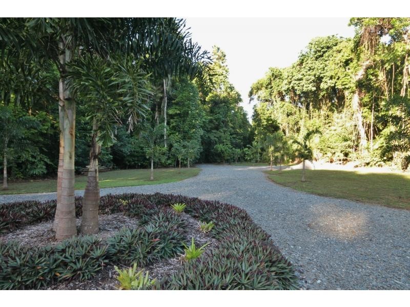 116 Hickory Road, Cow Bay, Daintree QLD 4873