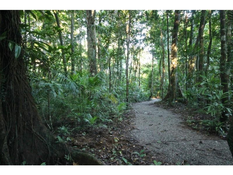 116 Hickory Road, Cow Bay, Daintree QLD 4873