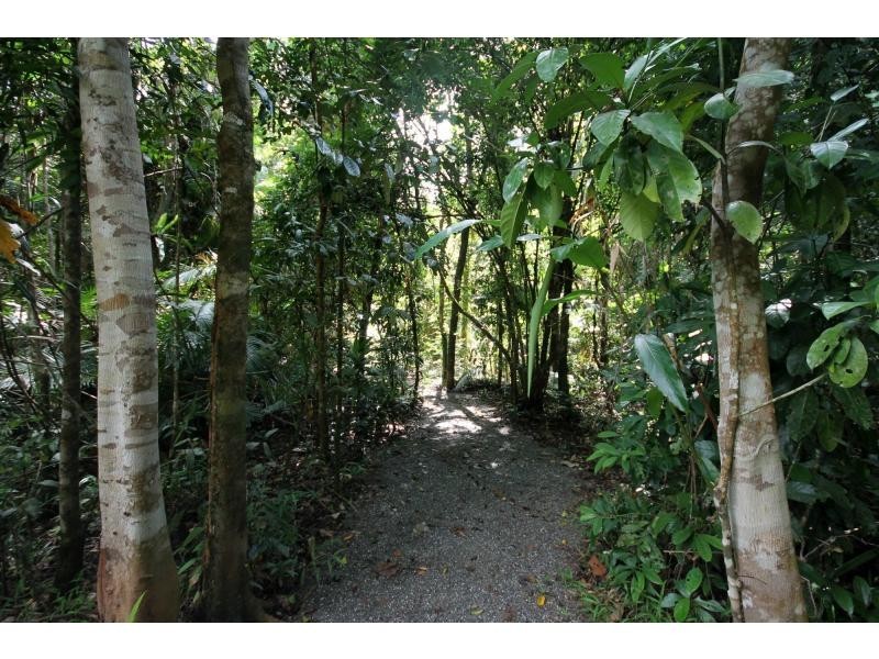 116 Hickory Road, Cow Bay, Daintree QLD 4873
