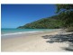 116 Hickory Road, Cow Bay, Daintree QLD 4873