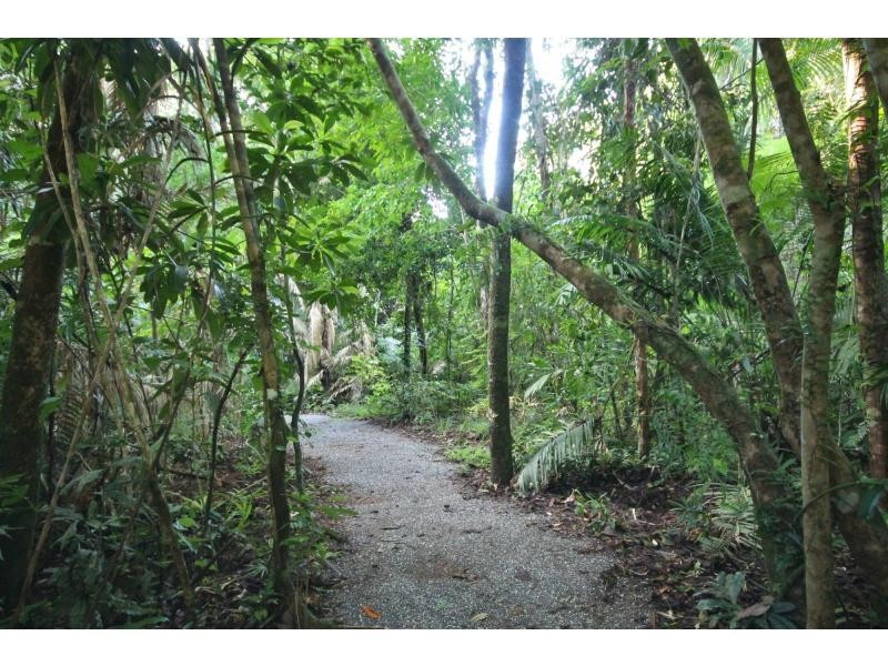 116 Hickory Road, Cow Bay, Daintree QLD 4873