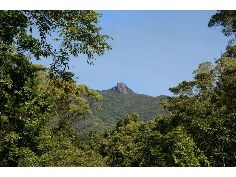 702 Whyanbeel Road, Whyanbeel QLD 4873