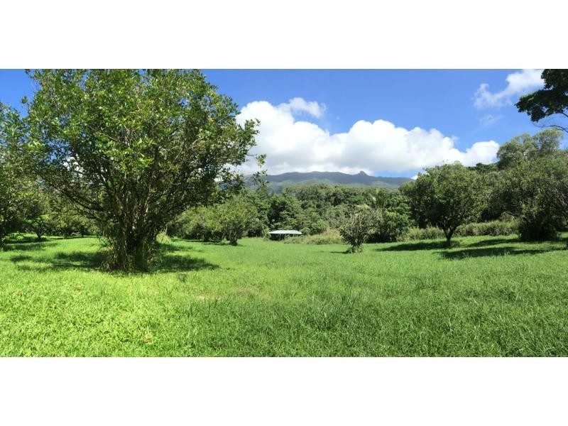 702 Whyanbeel Road, Whyanbeel QLD 4873