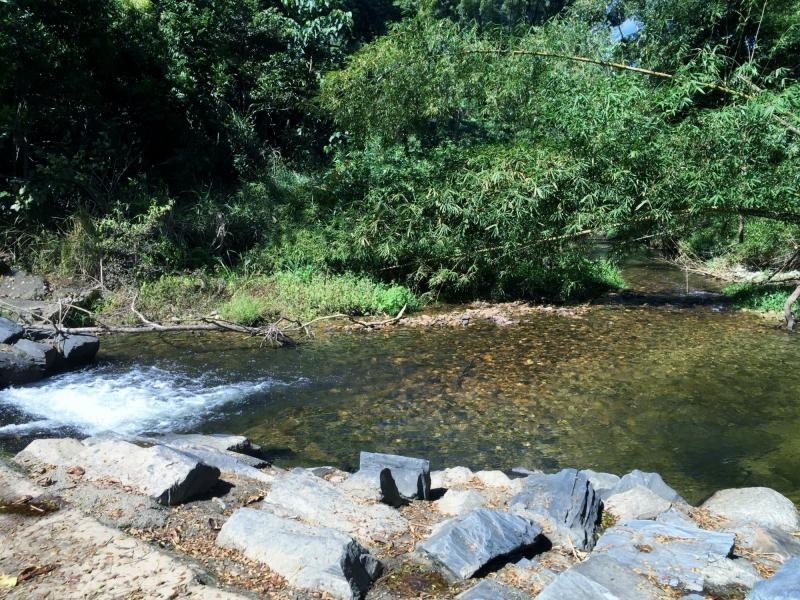 702 Whyanbeel Road, Whyanbeel QLD 4873