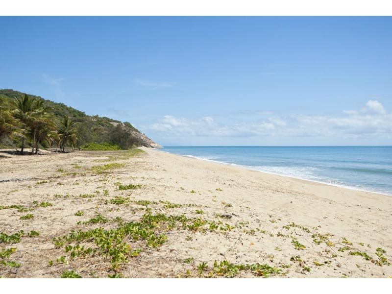 7 Hartley Street, Wangetti QLD 4877