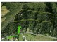 62 Chooks Ridge, Shannonvale QLD 4873