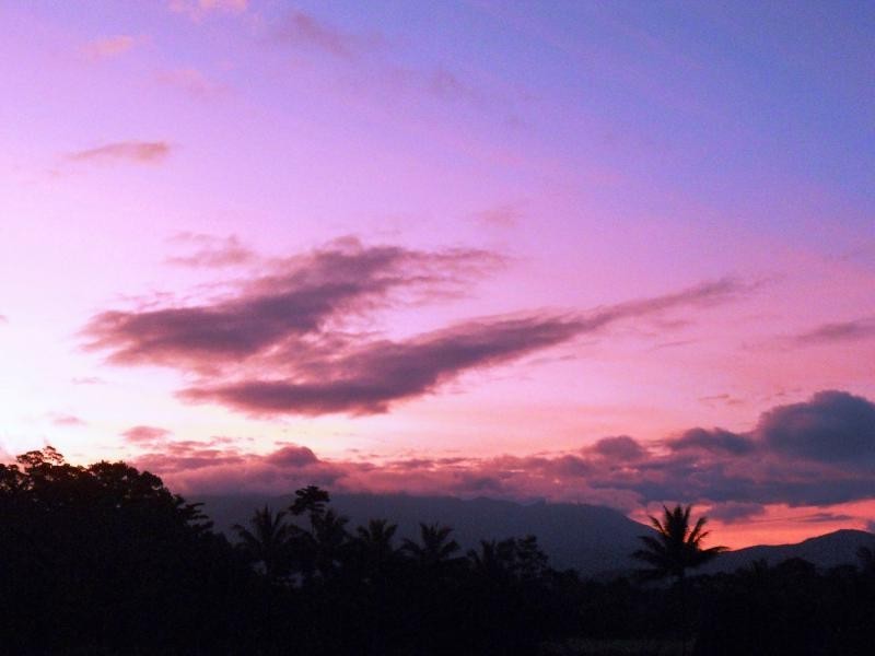 37 Address Available On Request , Cow Bay, Daintree QLD 4873