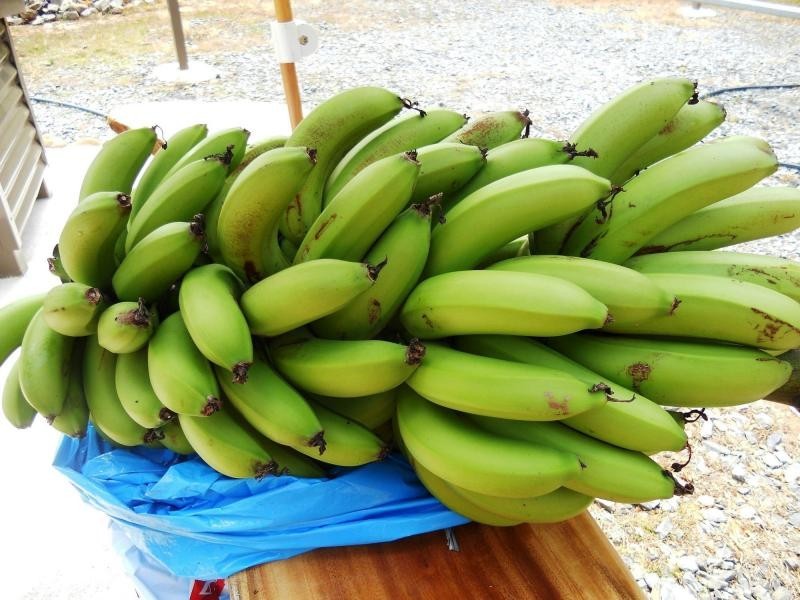 37 Address Available On Request , Cow Bay, Daintree QLD 4873