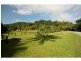 37 Address Available On Request , Cow Bay, Daintree QLD 4873