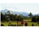 37 Address Available On Request , Cow Bay, Daintree QLD 4873