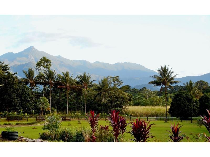 37 Address Available On Request , Cow Bay, Daintree QLD 4873