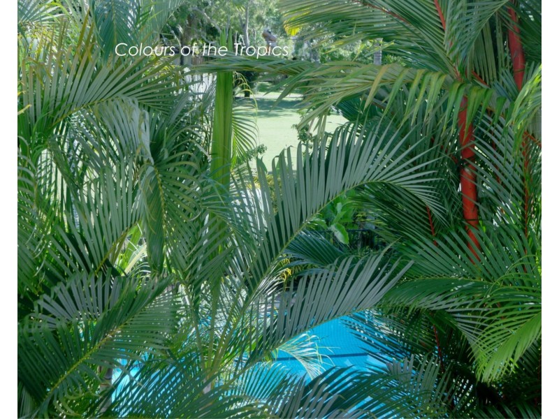 Villa 179 Sheraton Mirage Resort St, Port Douglas QLD 4877