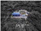 76 Spring Creek Road, Mowbray Valley Via Port Douglas, Port Douglas QLD 4877