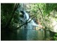 Cooktown QLD 4895