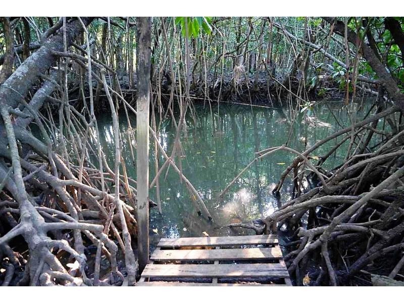 42 Endeavour Street, Port Douglas QLD 4877