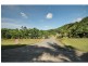 L37 Spurwood Road, Cow Bay, Cow Bay QLD 4873