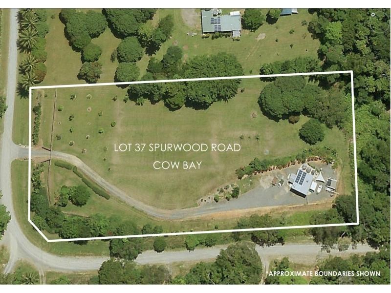 L37 Spurwood Road, Cow Bay, Cow Bay QLD 4873