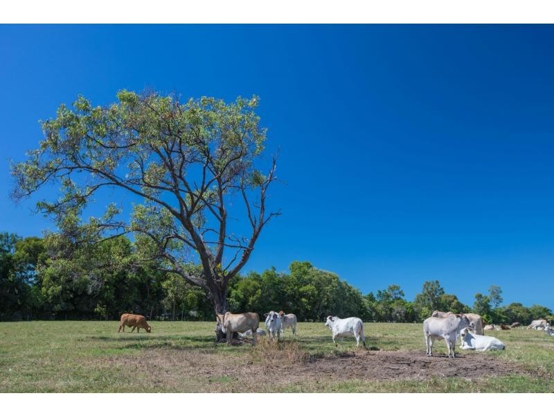 L84 Captain Cook Highway, Port Douglas QLD 4877
