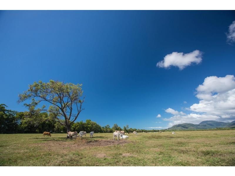 L84 Captain Cook Highway, Port Douglas QLD 4877