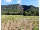 Lot 21 Mowbray River Road, Mowbray QLD 4877