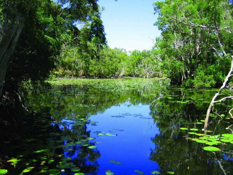 388 Mungumby Road St, Cooktown QLD 4895