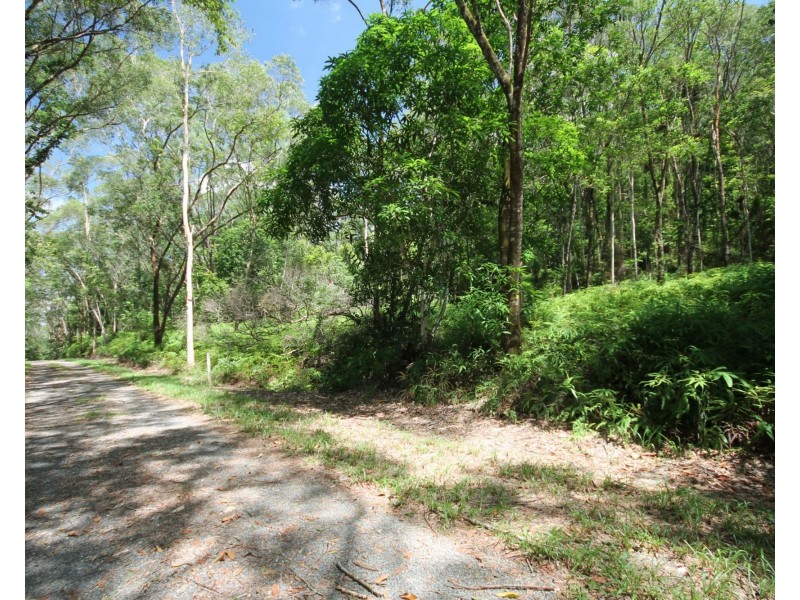 Lot 6 Andrew Road, Forest Creek QLD 4873