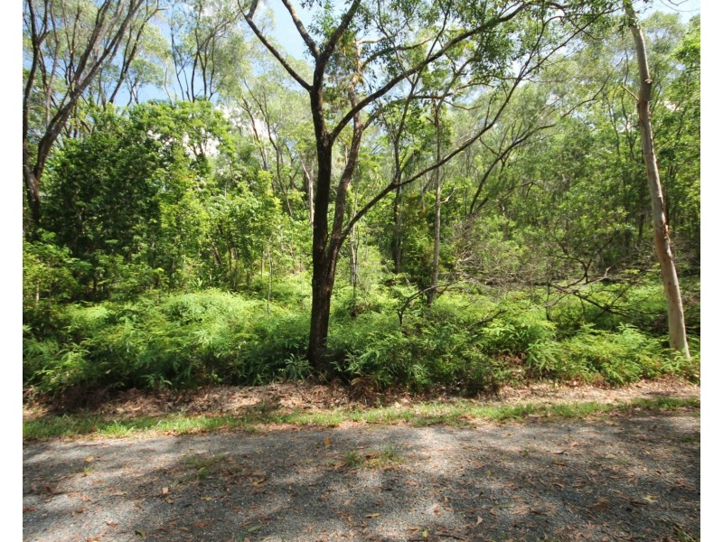 Lot 6 Andrew Road, Forest Creek QLD 4873