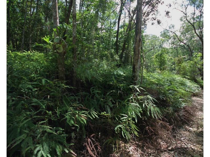Lot 6 Andrew Road, Forest Creek QLD 4873