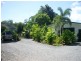 3 Stewart Street, Daintree QLD 4873