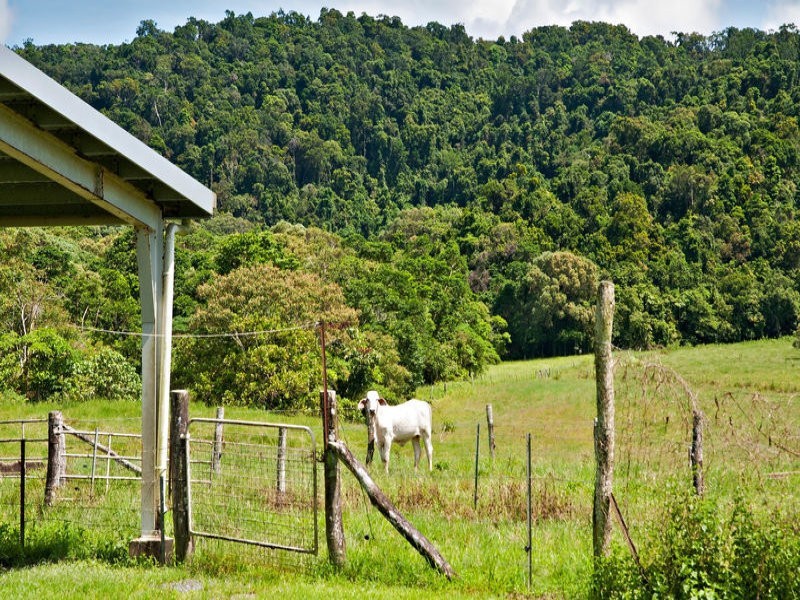 3-5 Davidson Street, Whyanbeel QLD 4873