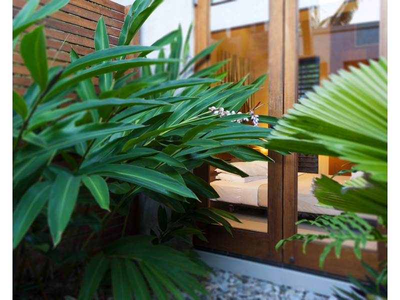 No.11 Bale Drive, Port Douglas QLD 4877