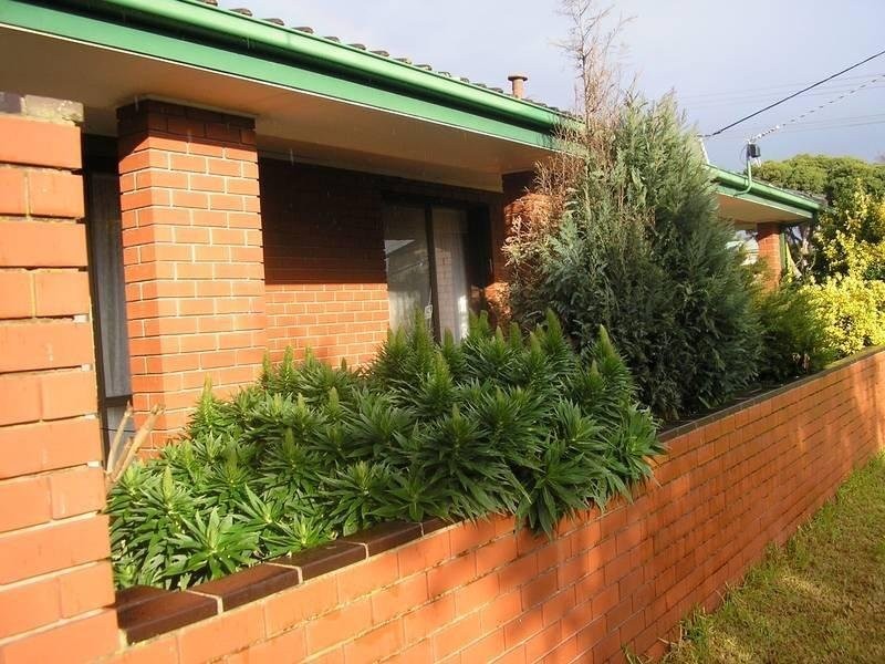 57 Yuille Street, Frankston VIC 3199