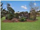 105 Weeroona Road, Langwarrin South VIC 3911