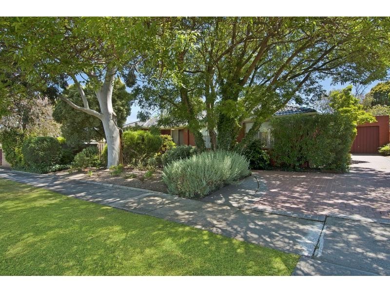 19 Carramar Drive, Frankston VIC 3199