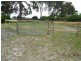 135 Barretts Road, Langwarrin South VIC 3911
