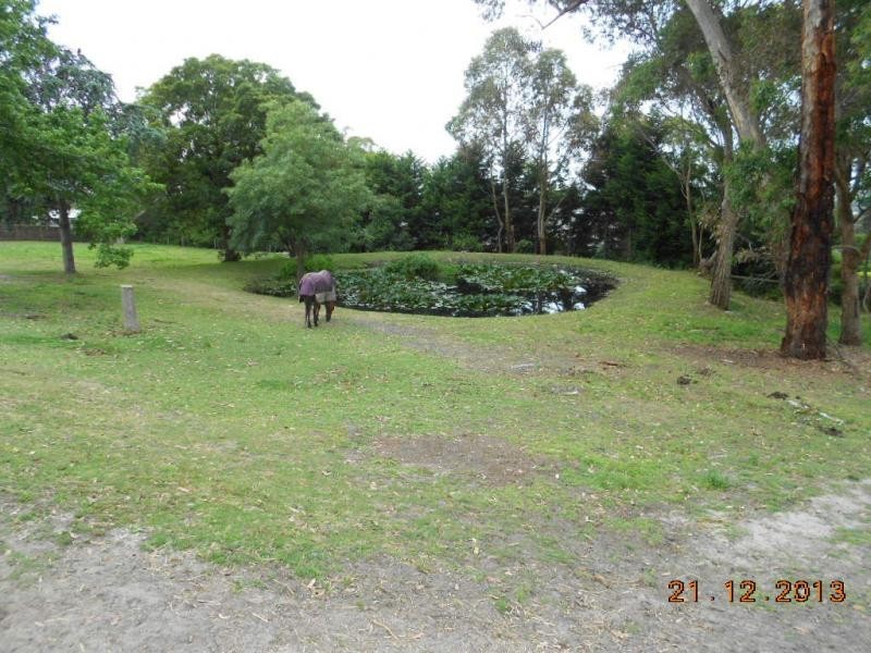 135 Barretts Road, Langwarrin South VIC 3911