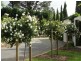 Tamborine Mountain QLD 4272