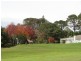 Tamborine Mountain QLD 4272