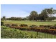 Robina QLD 4226