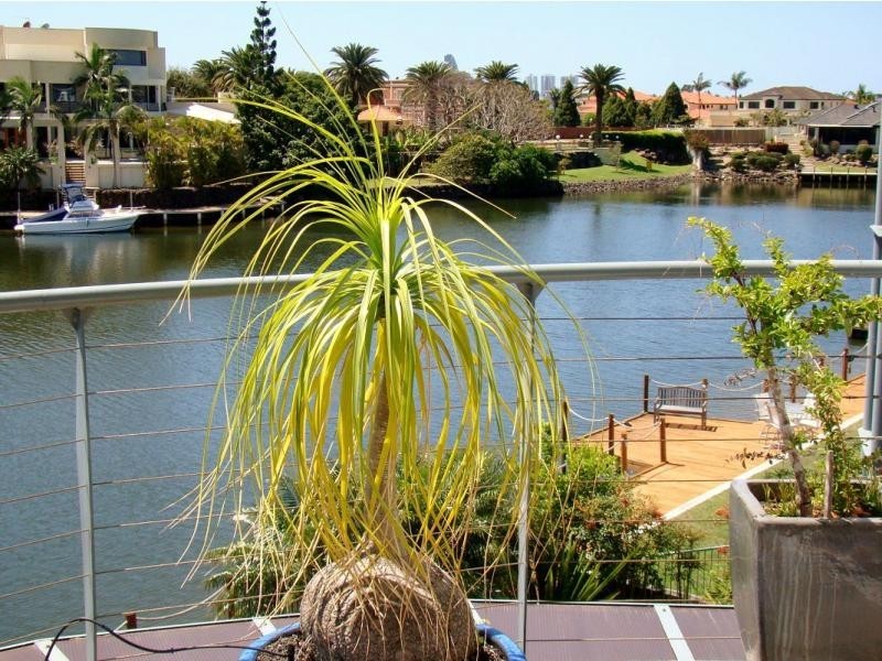 17 Staysail Crescent, Clear Island Waters QLD 4226