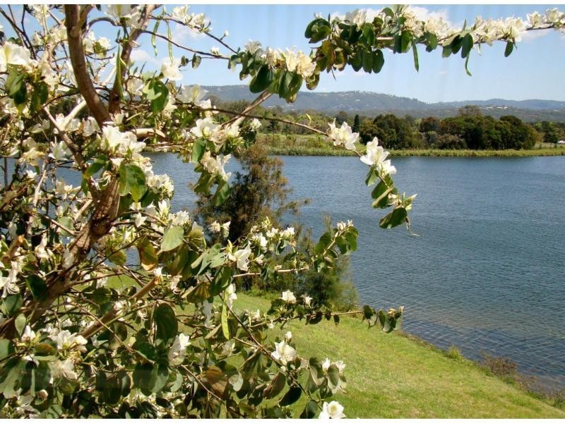 17 Staysail Crescent, Clear Island Waters QLD 4226