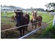 Mudgeeraba QLD 4213
